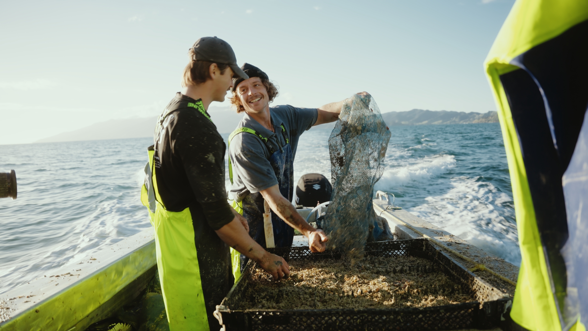 Save Our Scallops